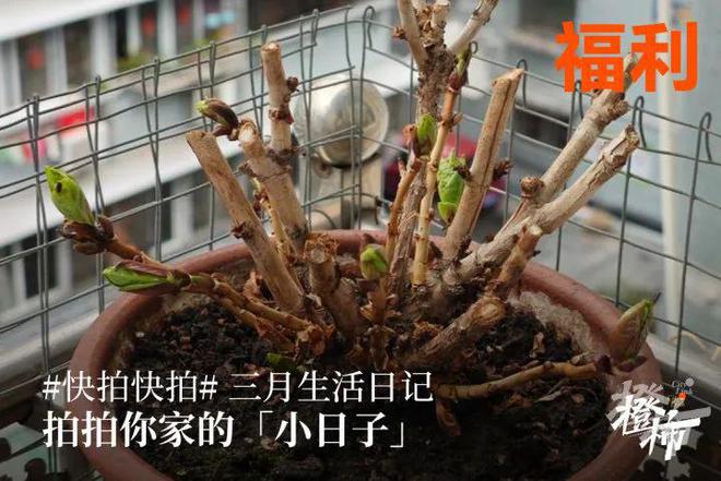 000份新生礼来橙柿过三八节！EVO真人平台便携湿巾、10(图10)